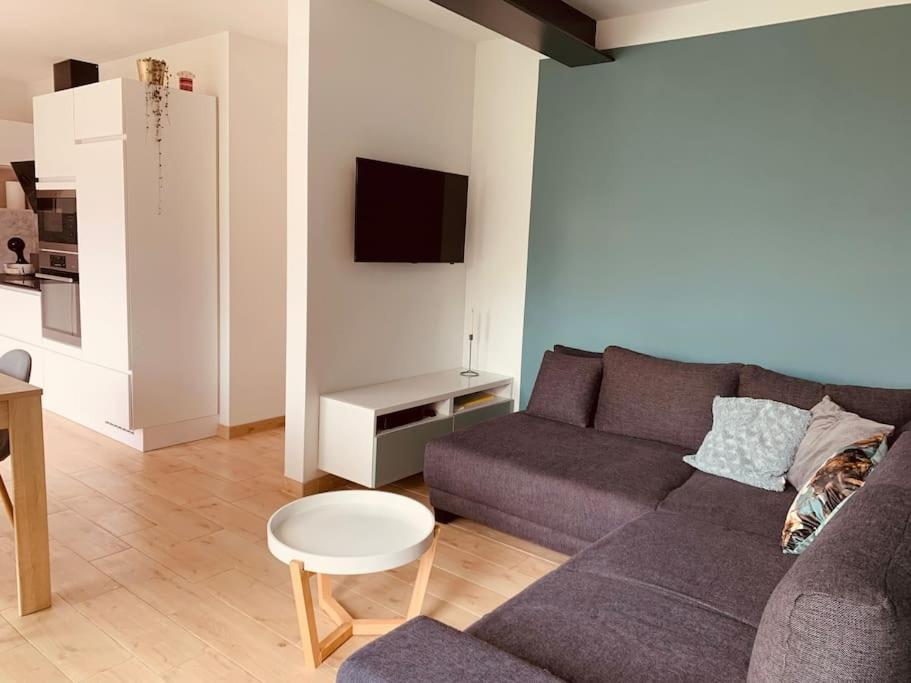 Maison En Plein Centre Avec Terrasse Et Jardin Vielsalm Kültér fotó